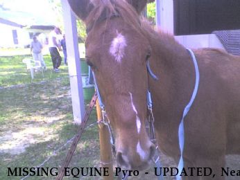 MISSING EQUINE Pyro - UPDATED, Near Wilmer, AL, 36587